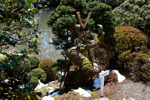 Nikko - detalle jardin