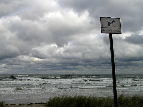 Doggie beach is that way.
