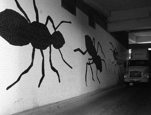 Ants in an Alley
