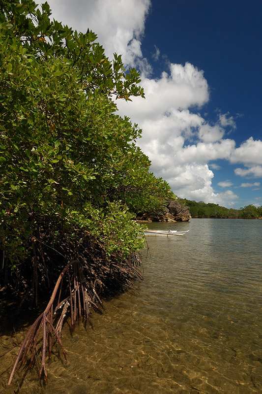 Igang Mangroves