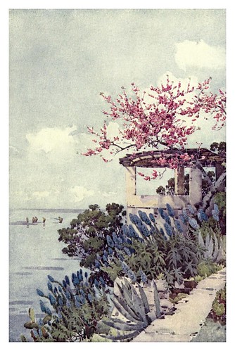 012-Plantas de orgullo de madeira y duraznero en flor-The flowers and gardens of Madeira - Du Cane Florence 1909