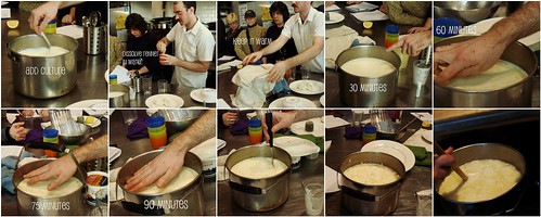 Making Of Rennet Cheese