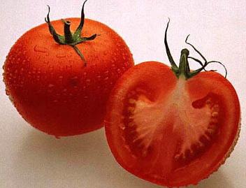 cut_tomatoes_stockfood