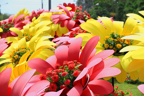 Giant flowers made of flowers, Tet HCMC