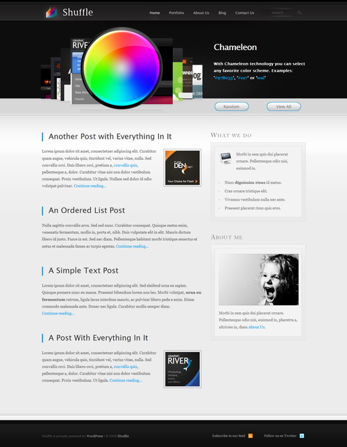 Shuffle | Portfolio + Blog – ThemeForest Premium WordPress Theme