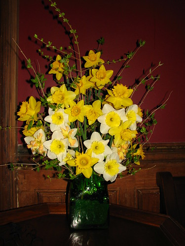 daffodils for church