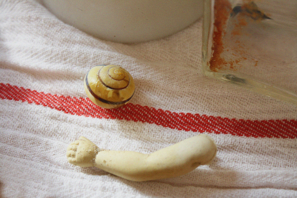 doll arm and shell