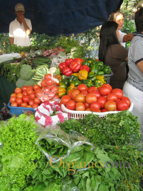 colorful veggies in flea market