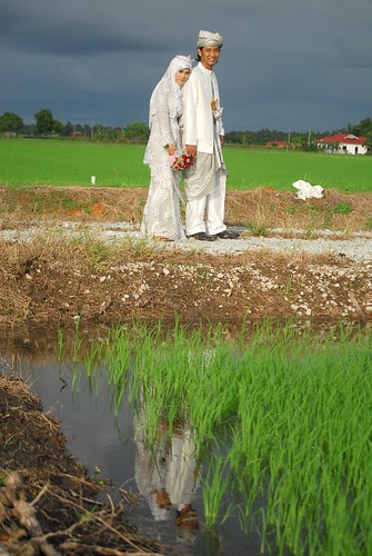 Ori - reflection by the padi field