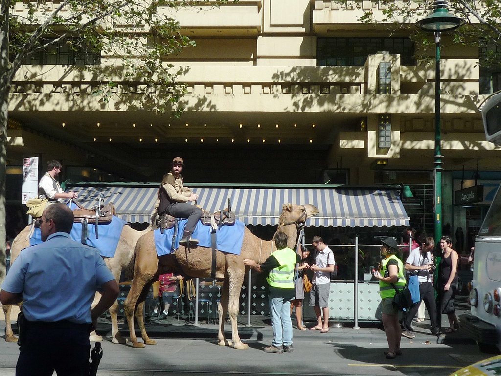 Swanston Street camels