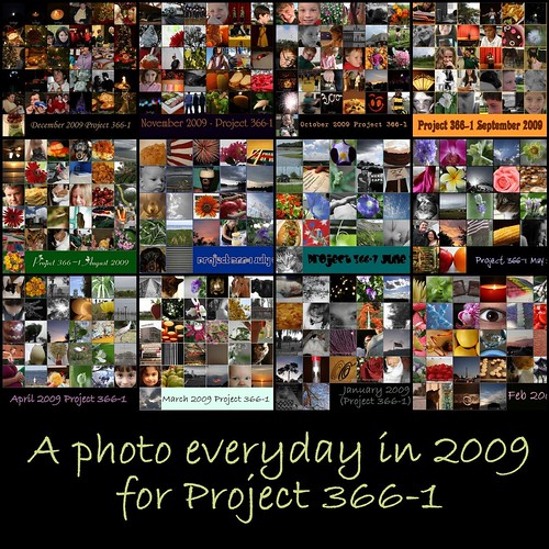 Project 3661 Mosaic