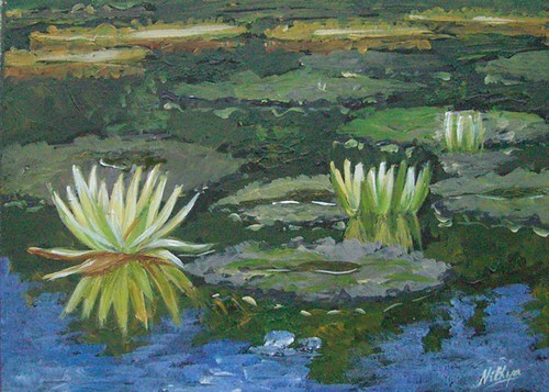 Waterlily #9