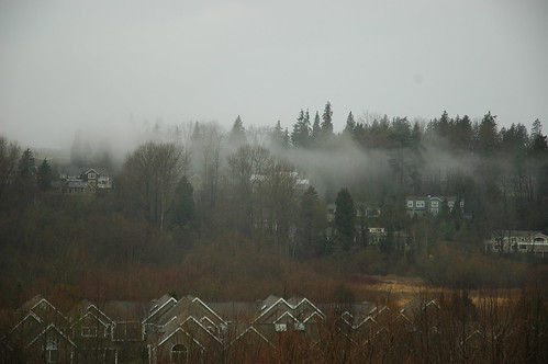 Fog over Morningside Park neighborhood, winter, Seattle, Washington, USA by Wonderlane