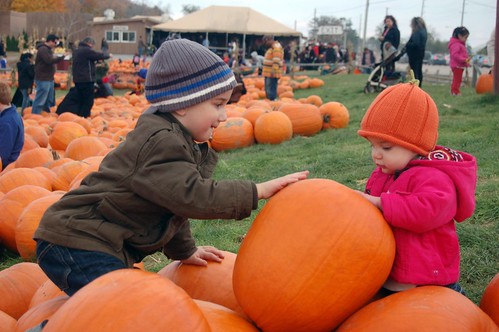 Jacob and Violet with the Pumpkins 2
