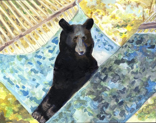 "Bear caught in hammock"