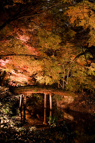Rokugien Autumn Lightup-25