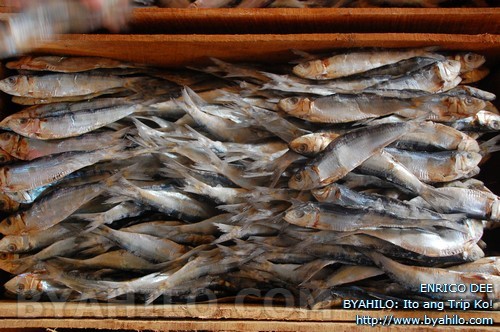 dumulog roxas, tabagak fish drying area