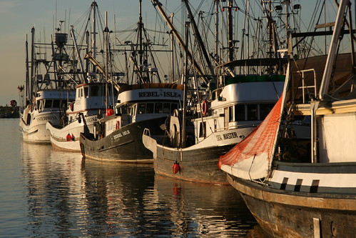 Steveston Fishing Boats