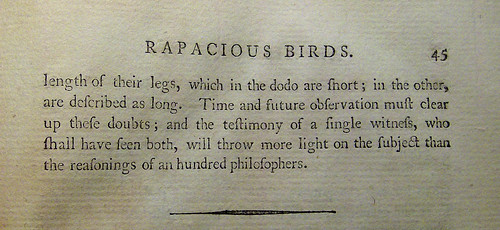 Rapacious Birds 