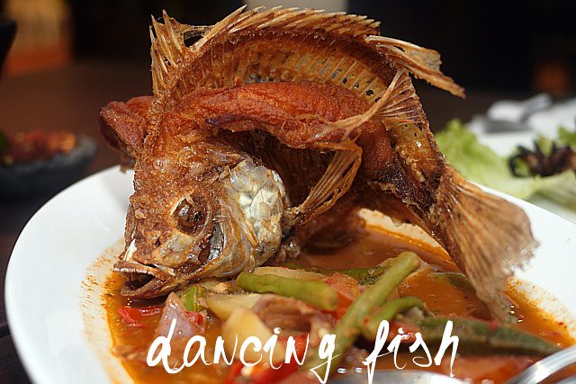 dancing fish