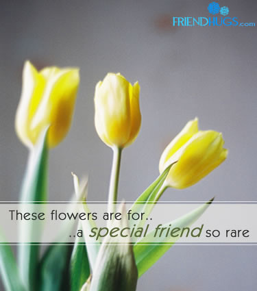 short friendship quotes for pictures. short friendship quotes for pictures. Click on the image below to get the