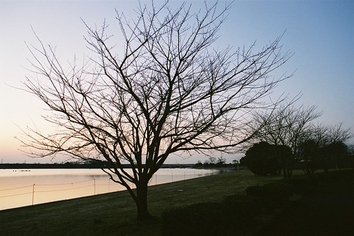 Dusk of Saiko Lake