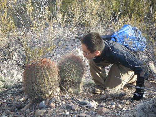 Kissing a Cactus in Argentina