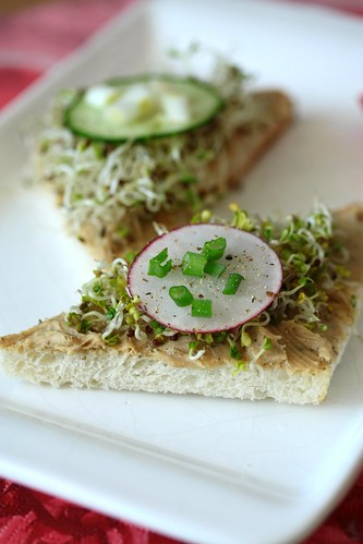 Broccoli and alflfa sprouts sandwiches