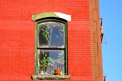window frame, rot