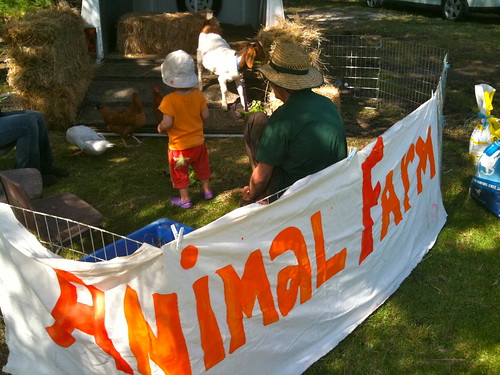 Patting animals at Pearcedale
