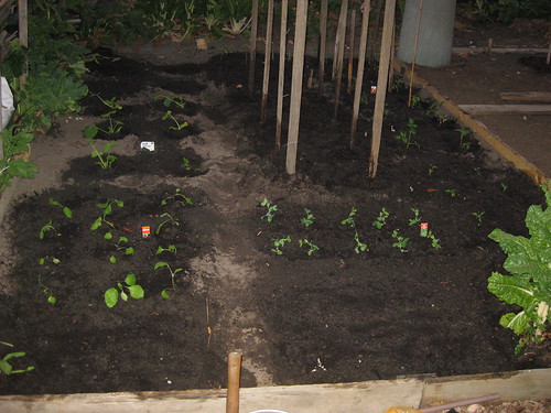 Community Vegetable Garden 