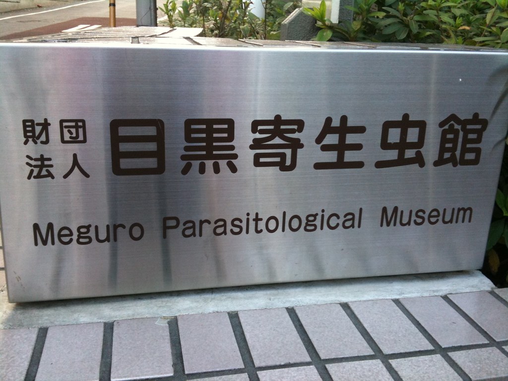 parasite museum_5146