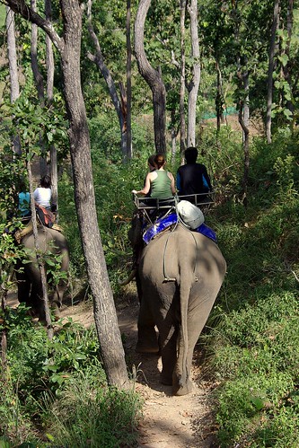 Trekking in Thailand