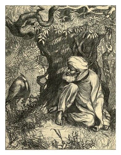 011-El cazador de aves pone una trampa al rey Beder-A.B. Hougston-Dalziel's Illustrated Arabian nights' entertainments (1865)