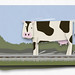 Cow On Rails