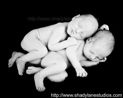 newborn Twins in BW