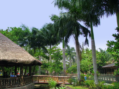 Pasig Rainforest Park