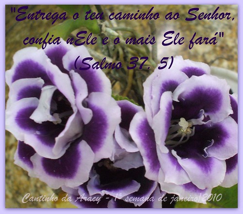 Flores e Salmos- 1ª semana de janeiro by Cantinho da Aracy
