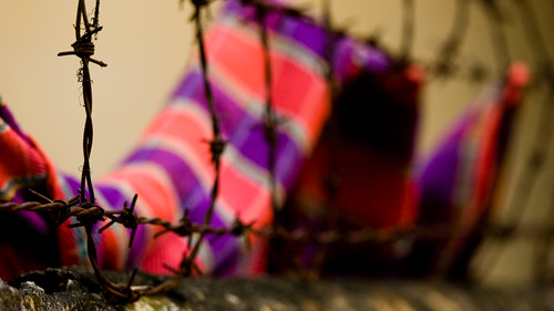 A pink and purple scarf imprisoned by barbed wire.