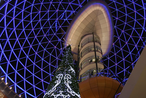 Christmas Night Dome
