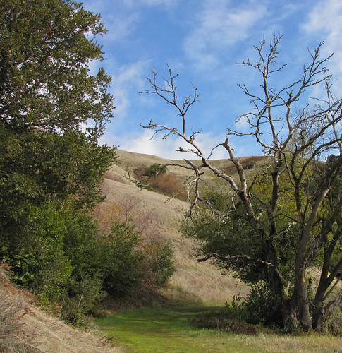 classic california trail