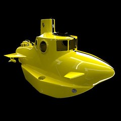 exomos-goby-yellow-submarine-11-16-2006