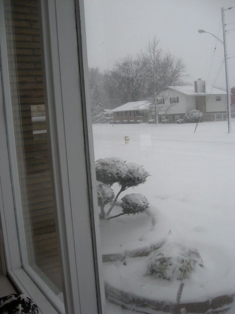 Snow - Feb 2010