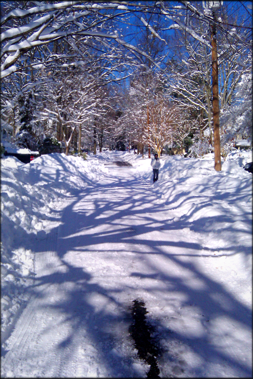 snowy-suburban-street-iambossy