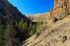 Asotin creek Canyon