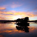 Lake Rotorua sunrise / New Zealand