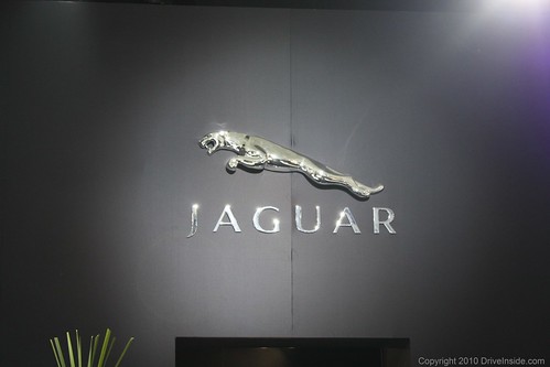 jaguar logo pics. Jaguar Logo