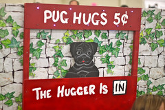 Golden Gate Kennel Club Dog Show: “Pug Hugs 5¢”