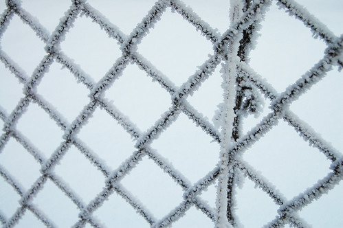 Frosty fence (Photo by iHanna - Hanna Andersson)
