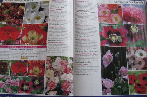 poppy pages in select seeds